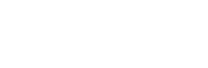 dyelot-logo
